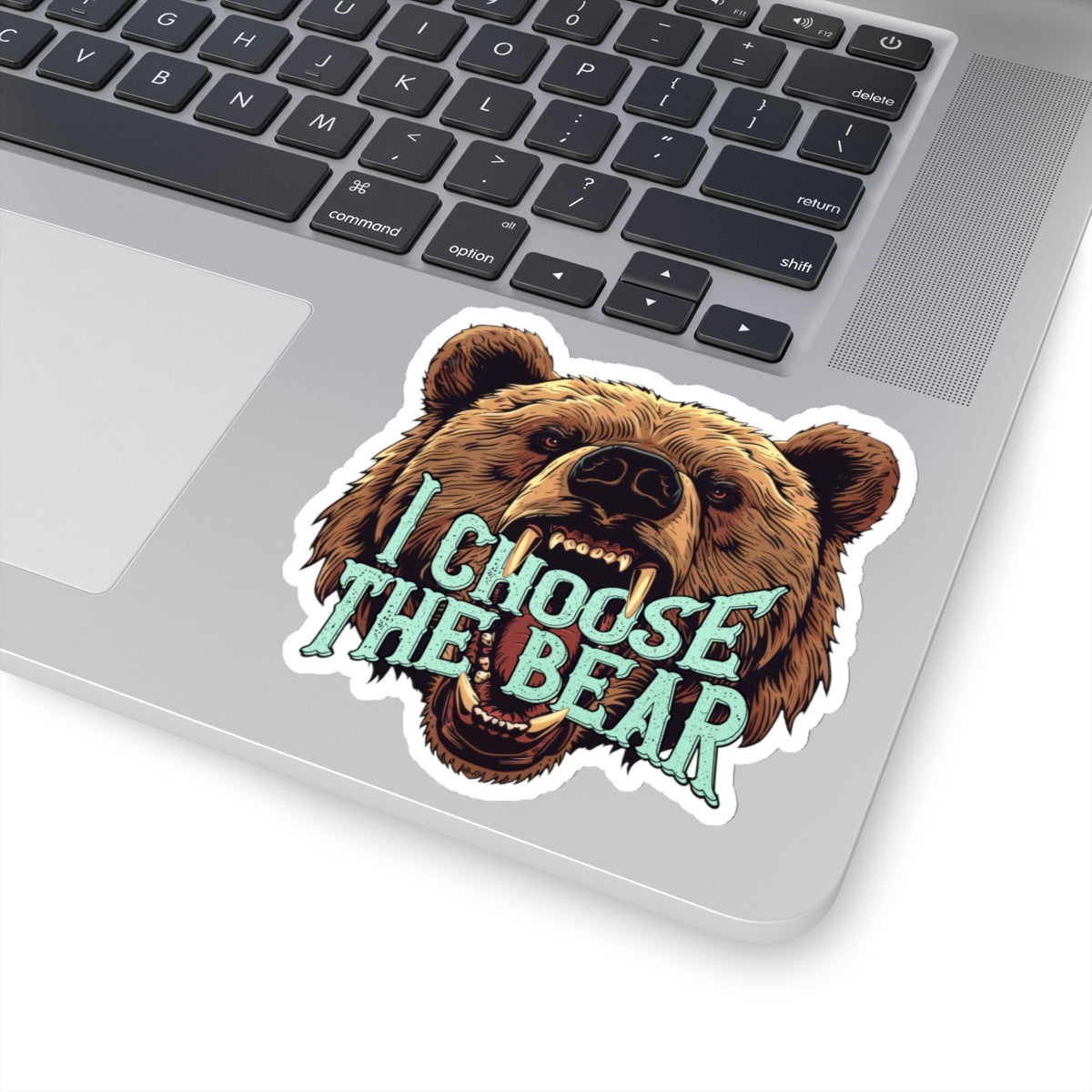 I Choose The Bear Sticker Bear vs Man Kiss-Cut Stickers Team Bear Trending Stickers 4B Movement Vinyl Sticker Laptop Sticker Viral Tiktok