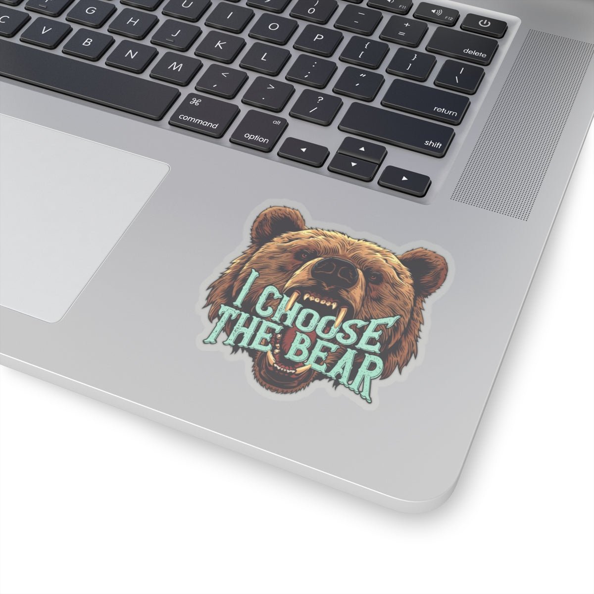 I Choose The Bear Sticker Bear vs Man Kiss-Cut Stickers Team Bear Trending Stickers 4B Movement Vinyl Sticker Laptop Sticker Viral Tiktok