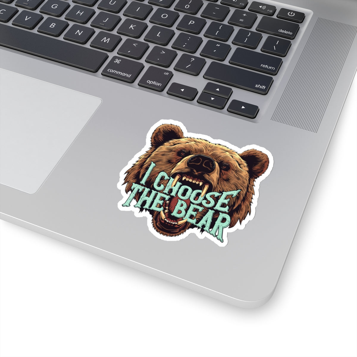 I Choose The Bear Sticker Bear vs Man Kiss-Cut Stickers Team Bear Trending Stickers 4B Movement Vinyl Sticker Laptop Sticker Viral Tiktok