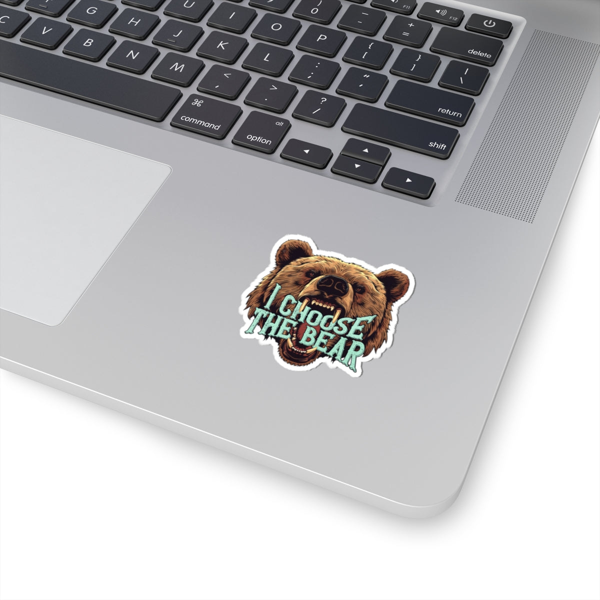 I Choose The Bear Sticker Bear vs Man Kiss-Cut Stickers Team Bear Trending Stickers 4B Movement Vinyl Sticker Laptop Sticker Viral Tiktok